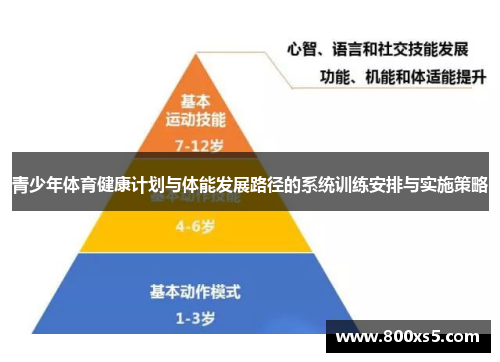 青少年体育健康计划与体能发展路径的系统训练安排与实施策略