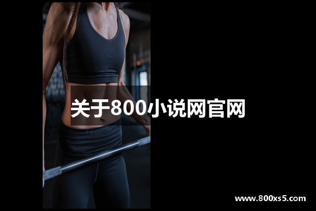 关于800小说网官网